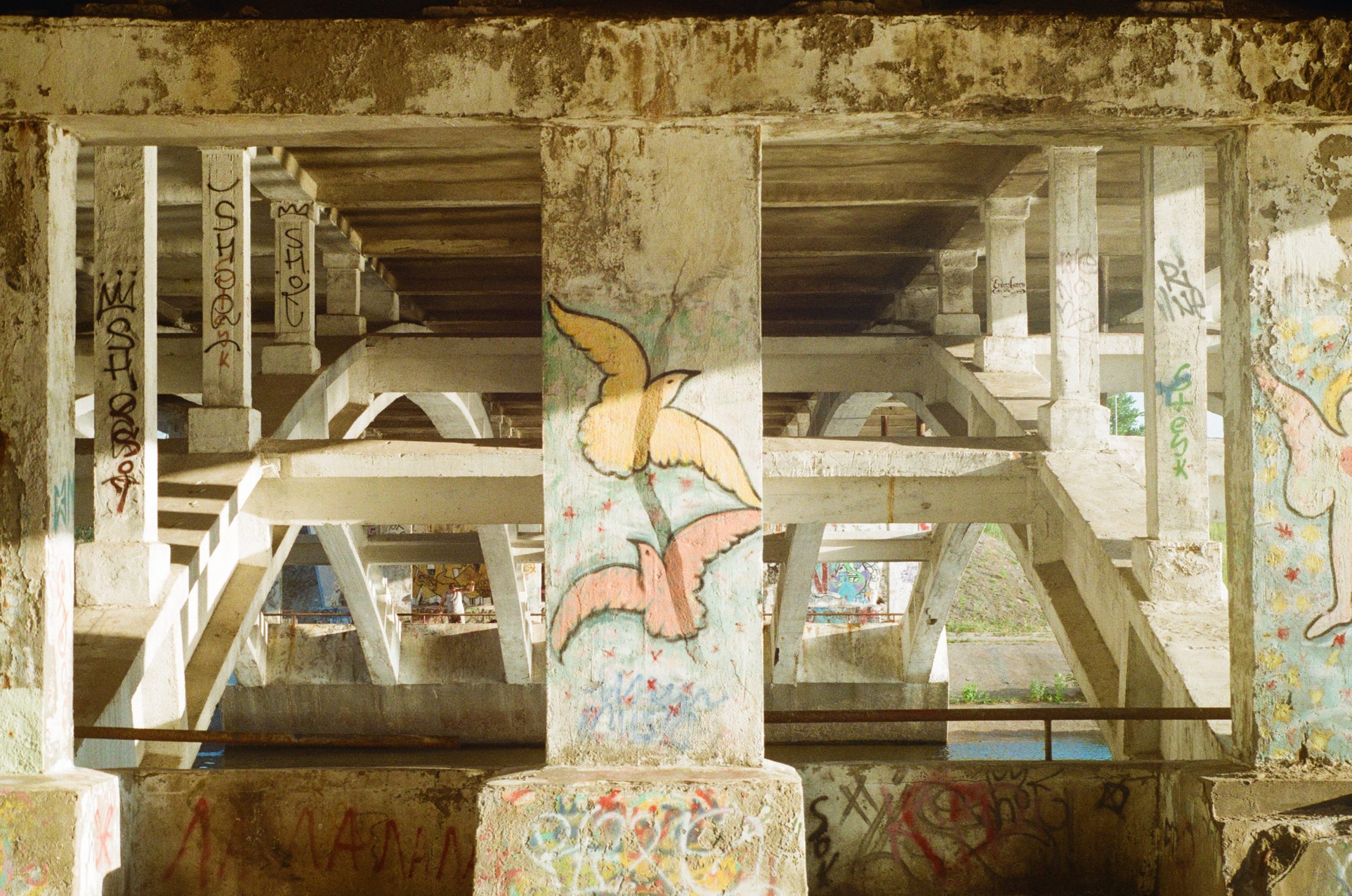 Header image depicting two hand-drawn doves on a pillar under a bridge.