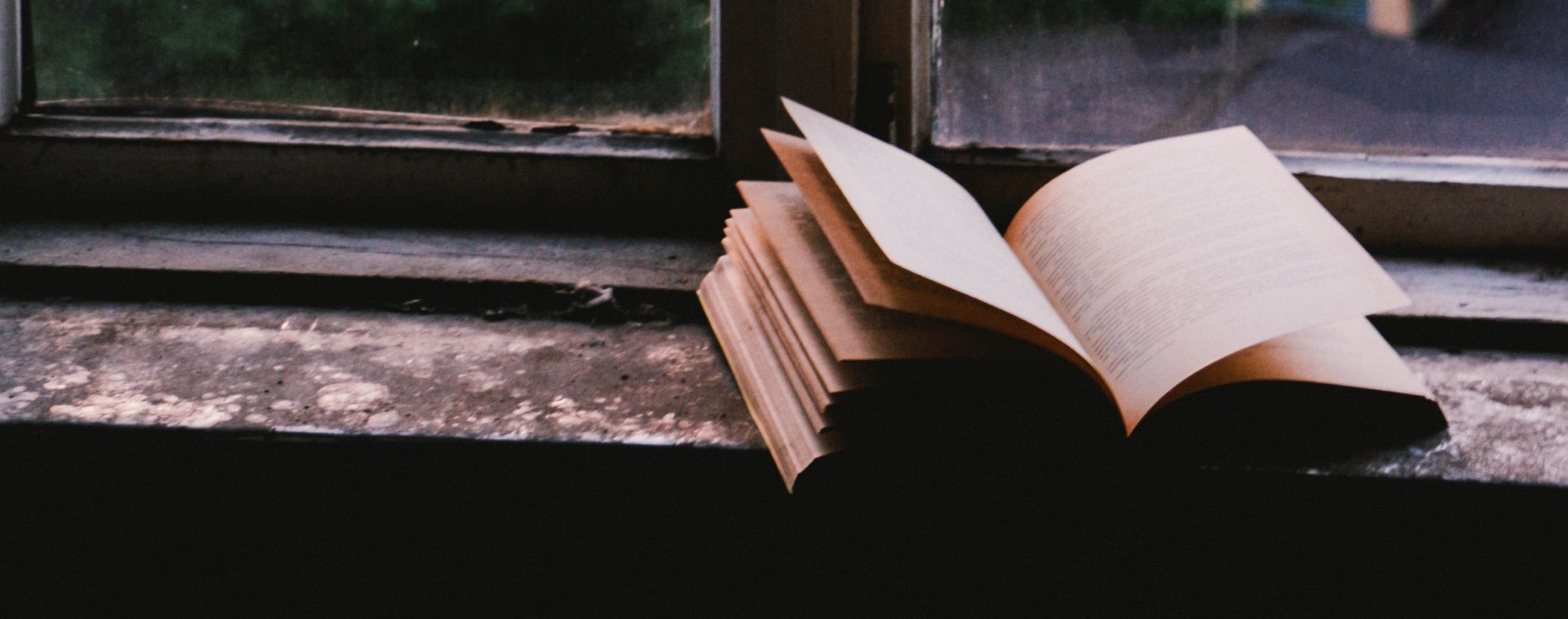 Hero Overlay – No Companion Stories (13)