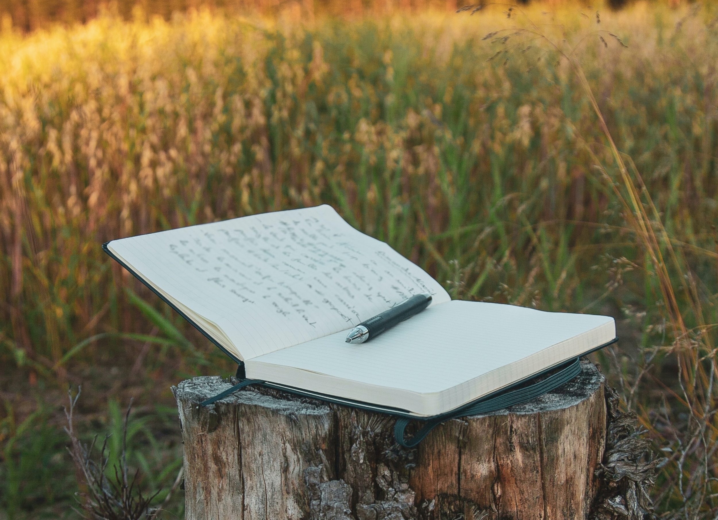 Hero Overlay – With Companion Stories (22)