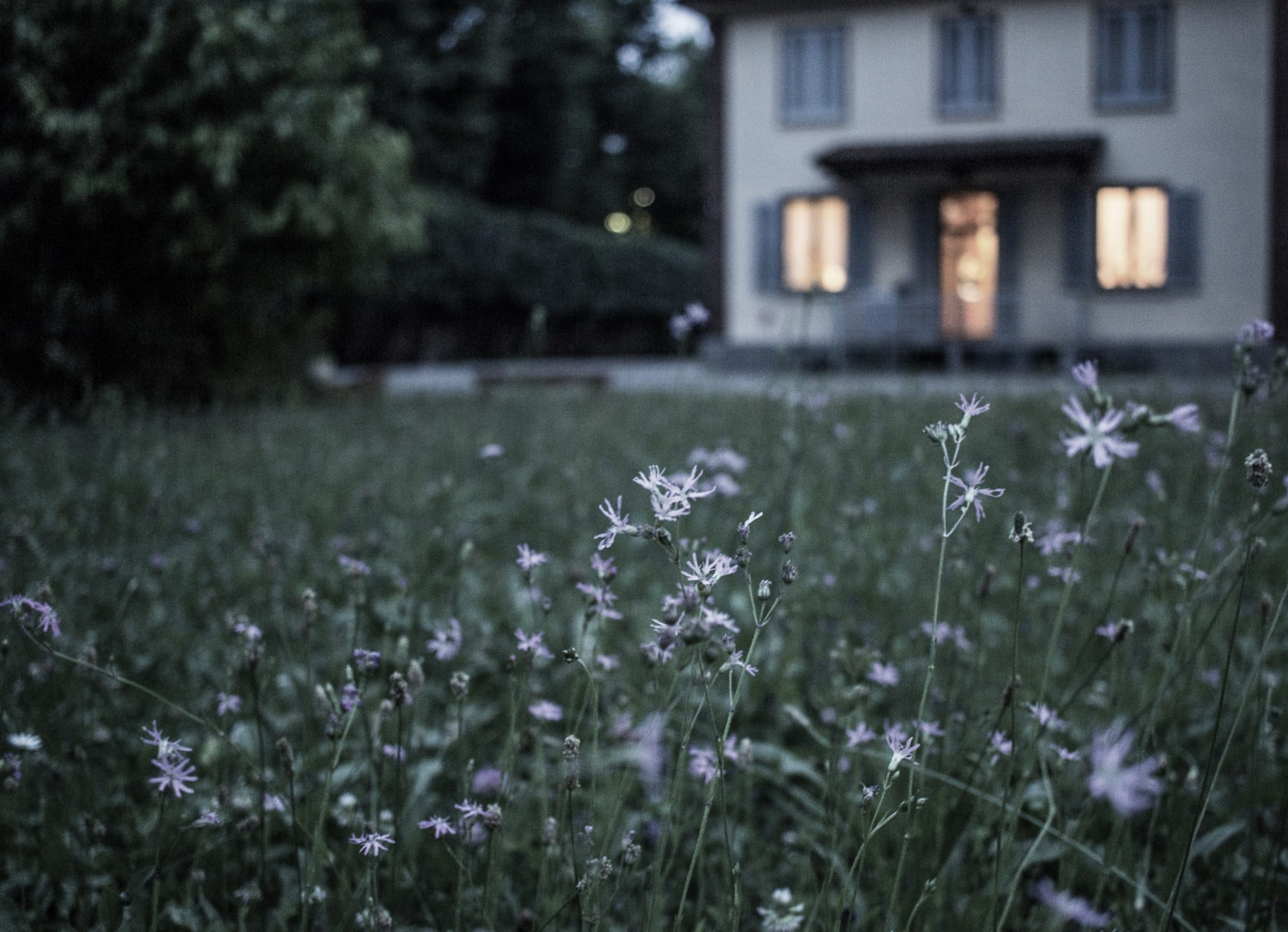 Hero Overlay – With Companion Stories (24)