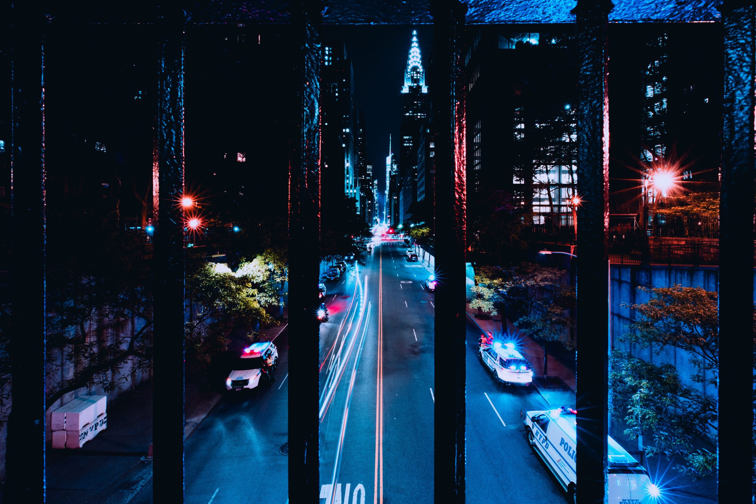 ryan-loughlin-P4gFNonKyVc-unsplash