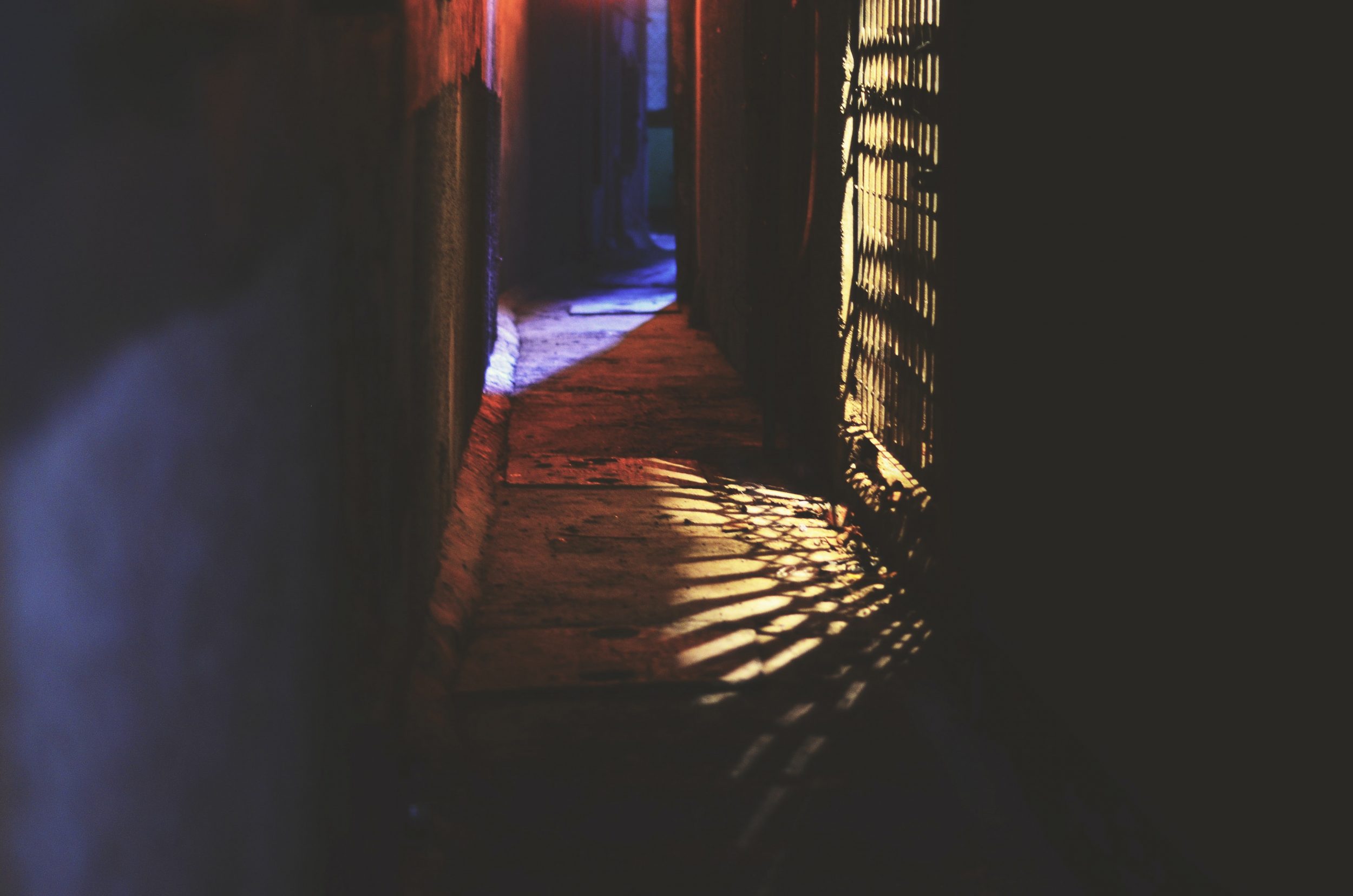 palash-jain-ypH5x5u1KLU-unsplash