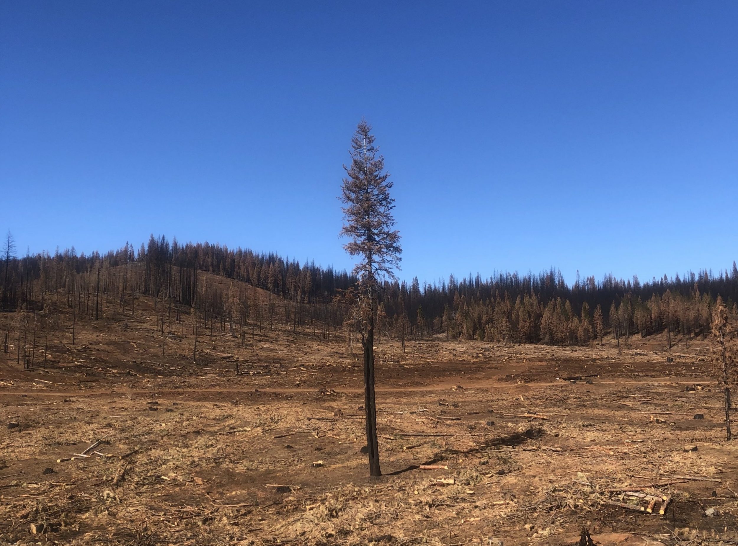 drive up post dixie fire