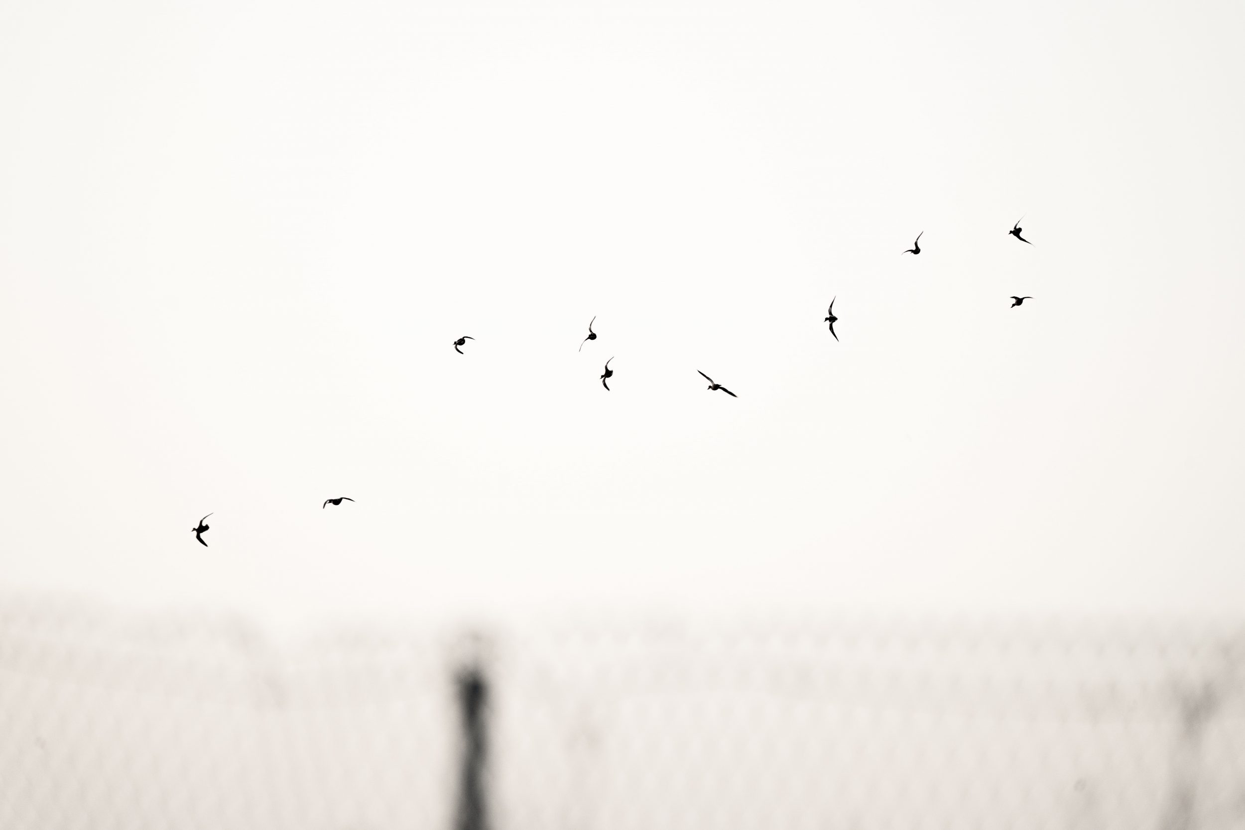 liz-vo-MRESPr1JFFs-unsplash