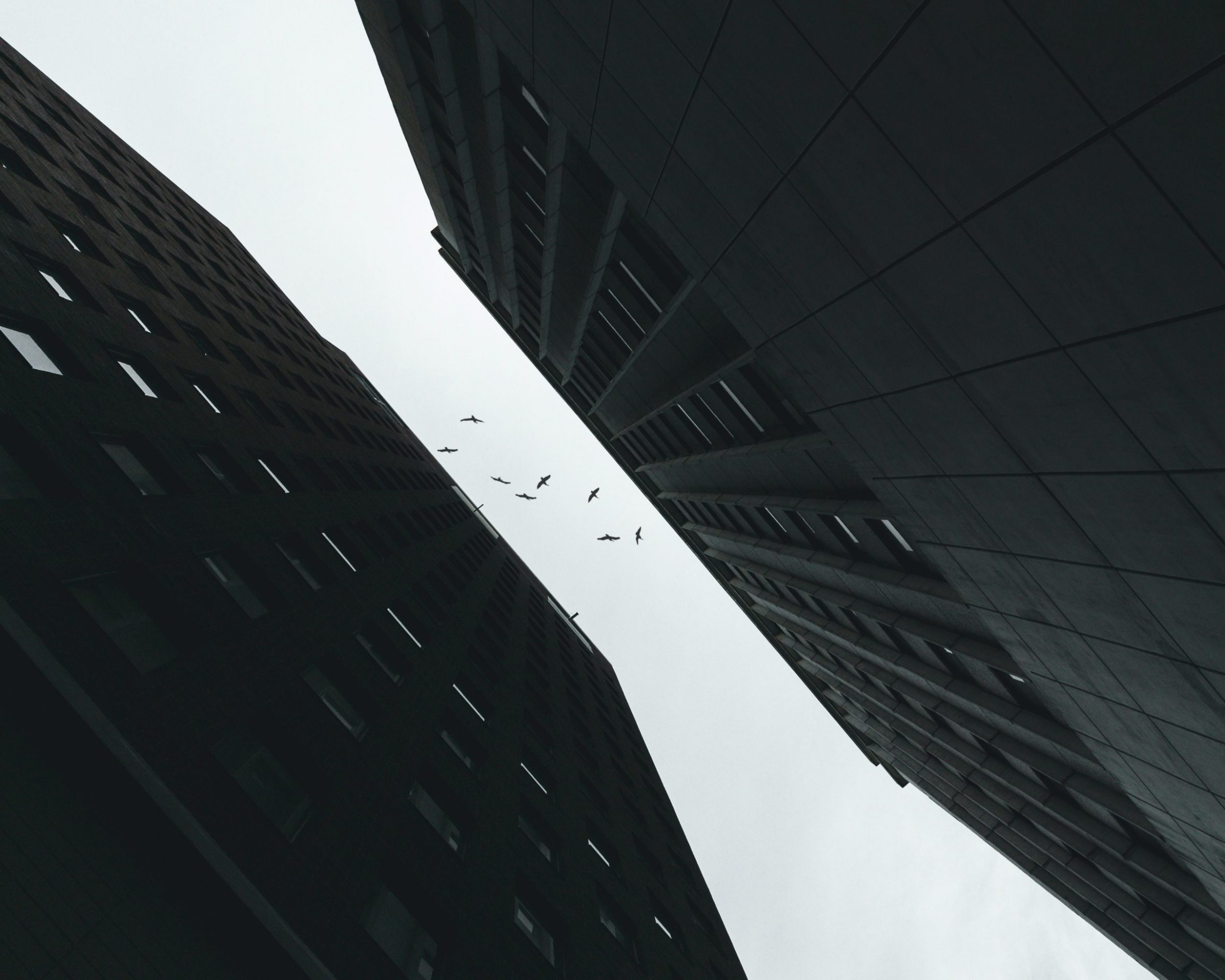 derrick-brooks-VH7ngVGhAeQ-unsplash