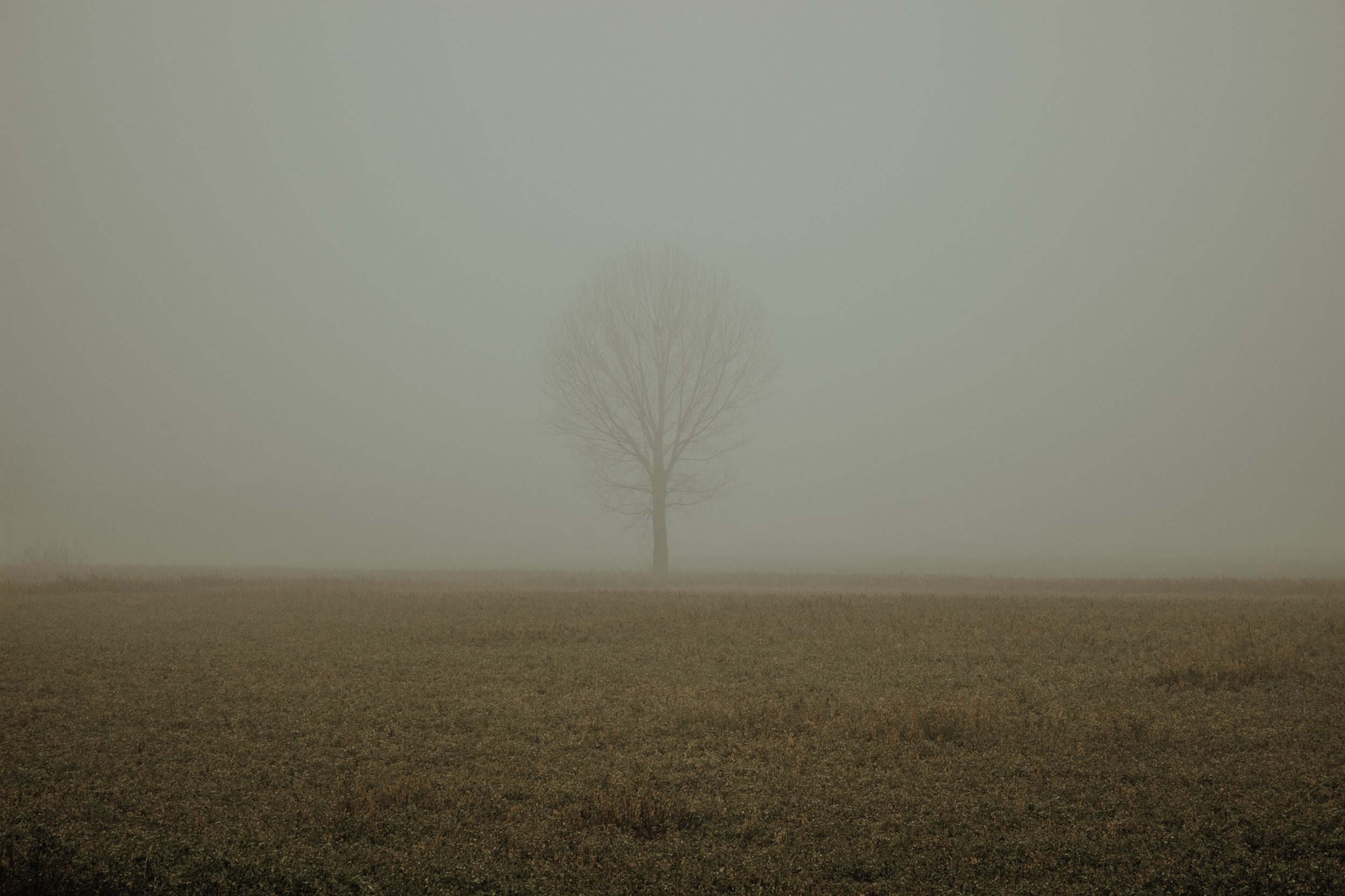 rhamely-LEguc_KKSgI-unsplash (1)