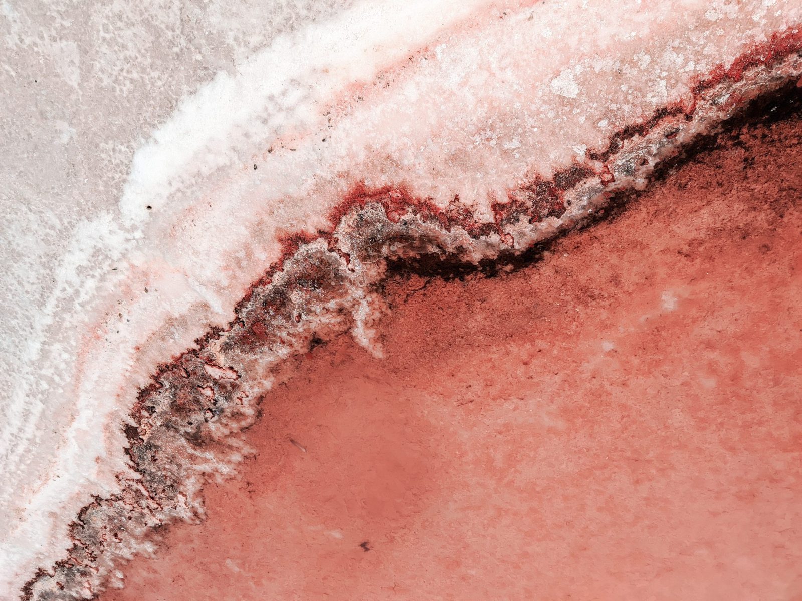 ali-marwan-TrKiFvRygYQ-unsplash