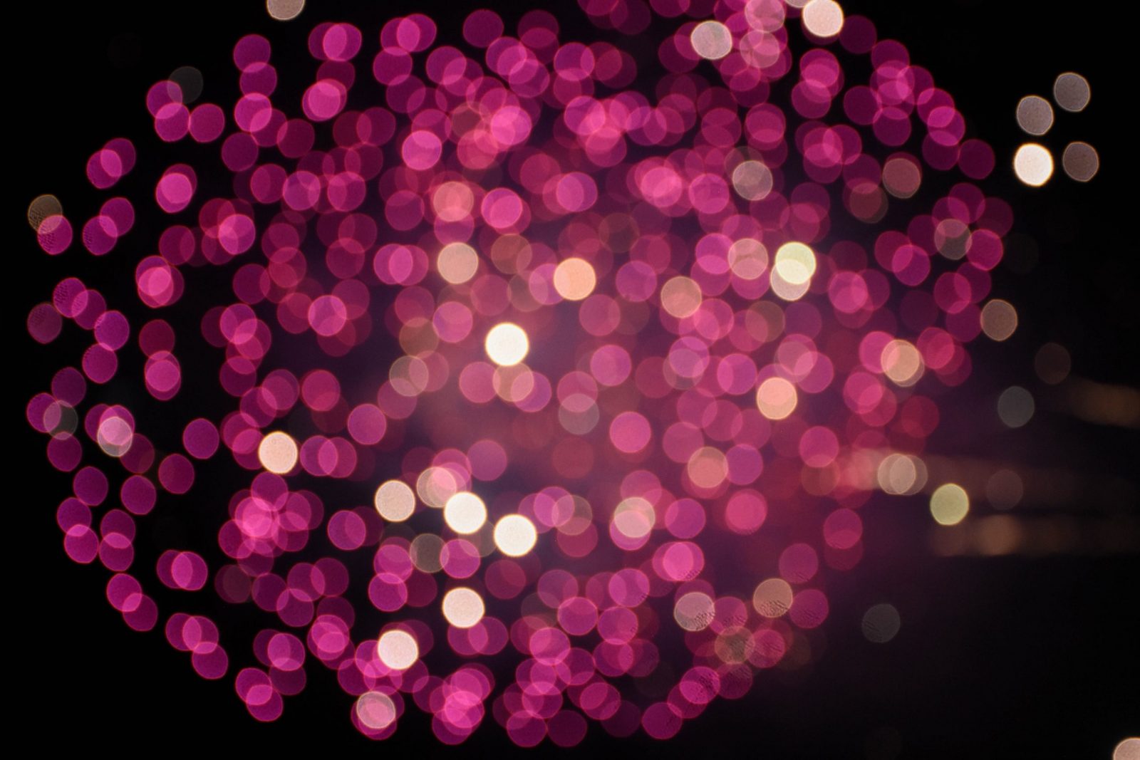 arthur-harutyunyan–tVojO6HwNI-unsplash