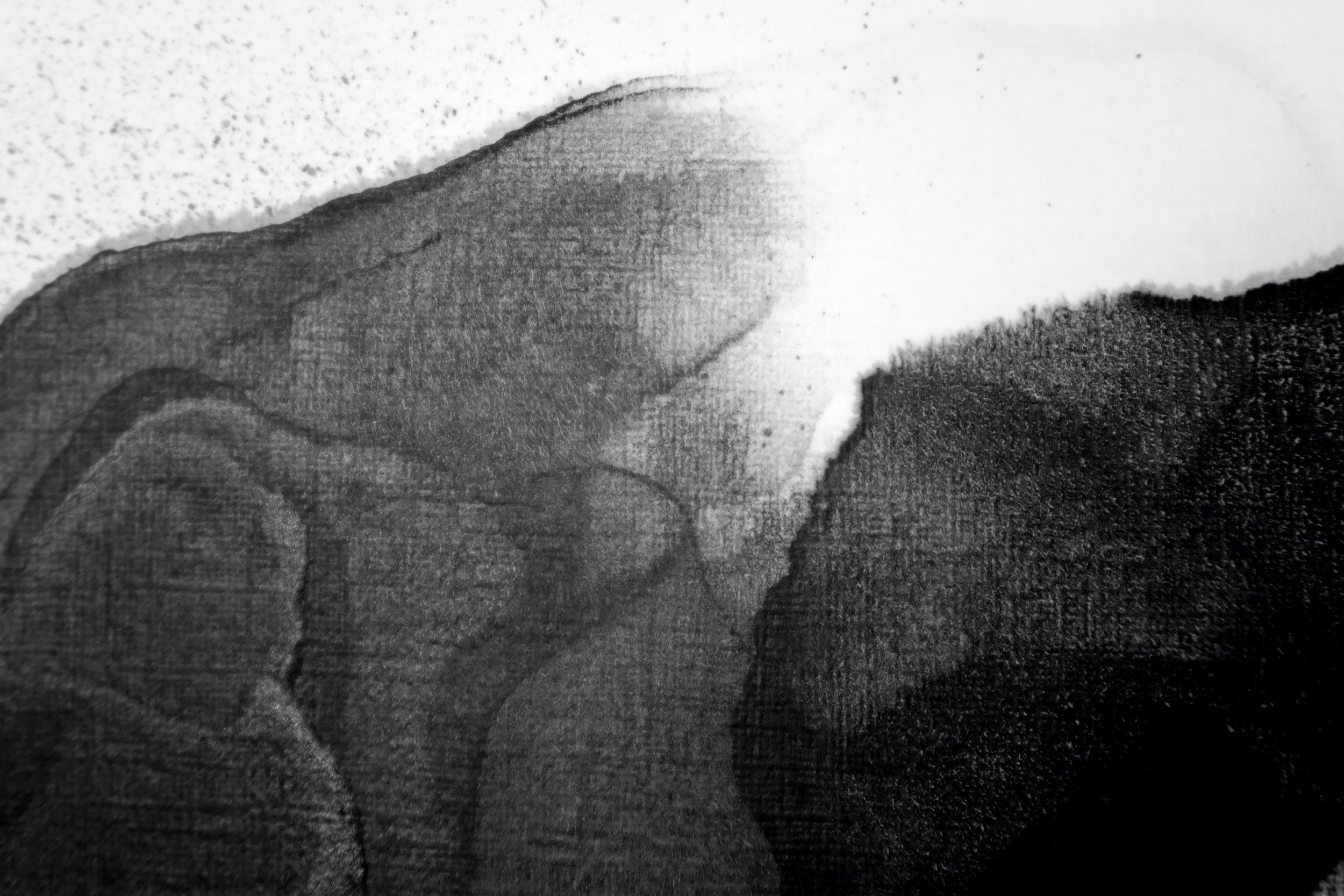 fia-yang-Z_roMuVZo7w-unsplash