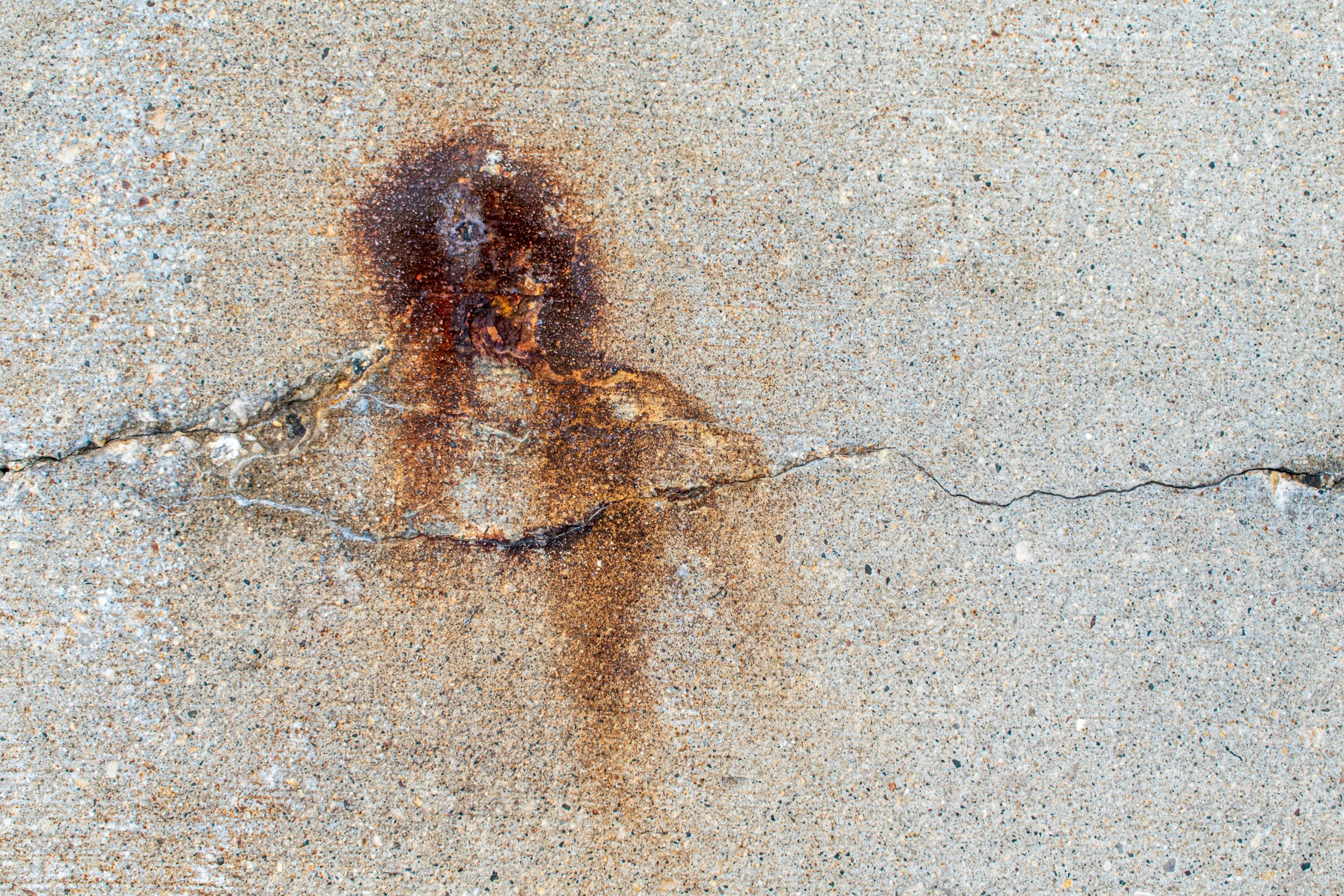 jarrod-erbe–tLn0K37zZ8-unsplash