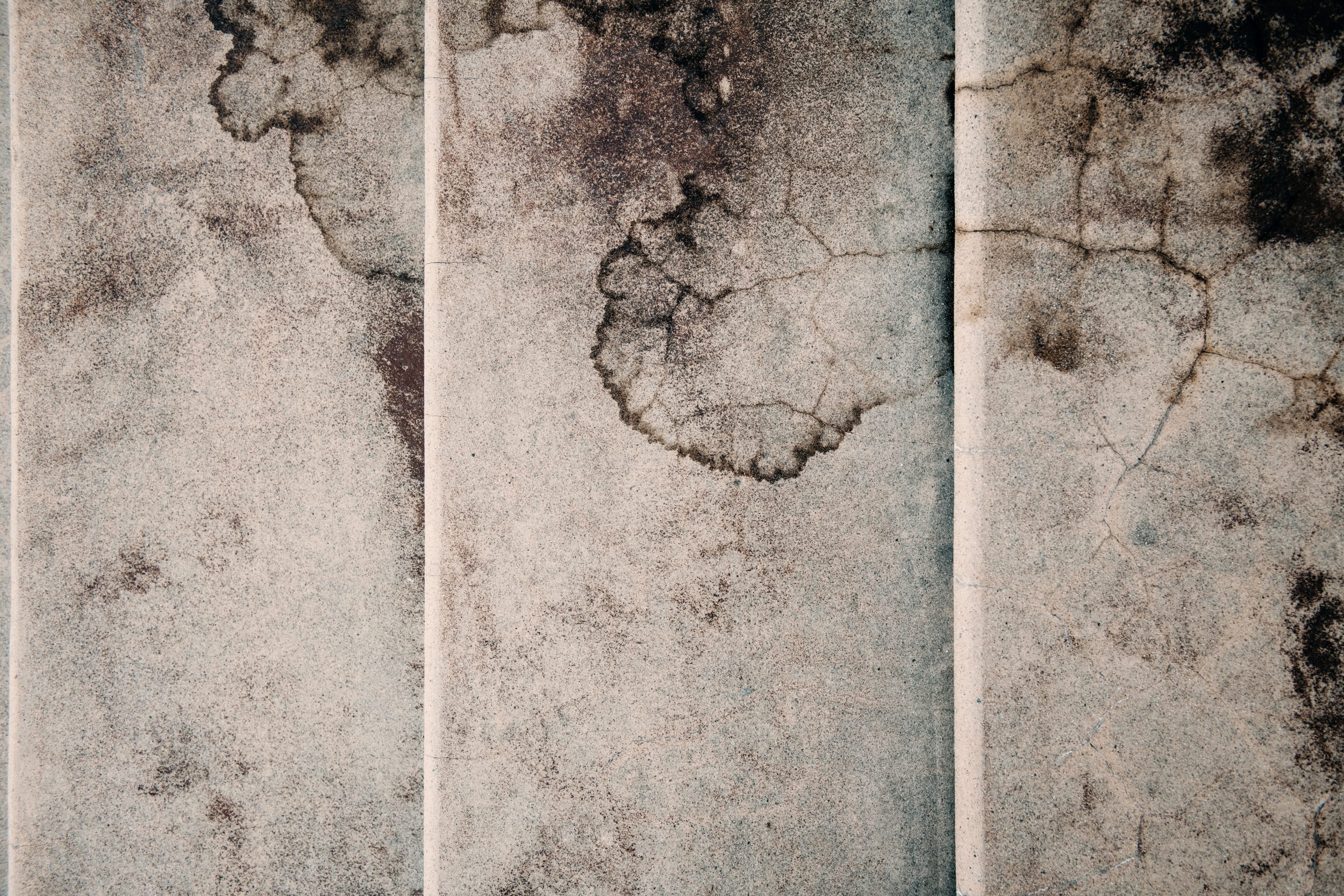 tim-mossholder-BVui63pyvrk-unsplash