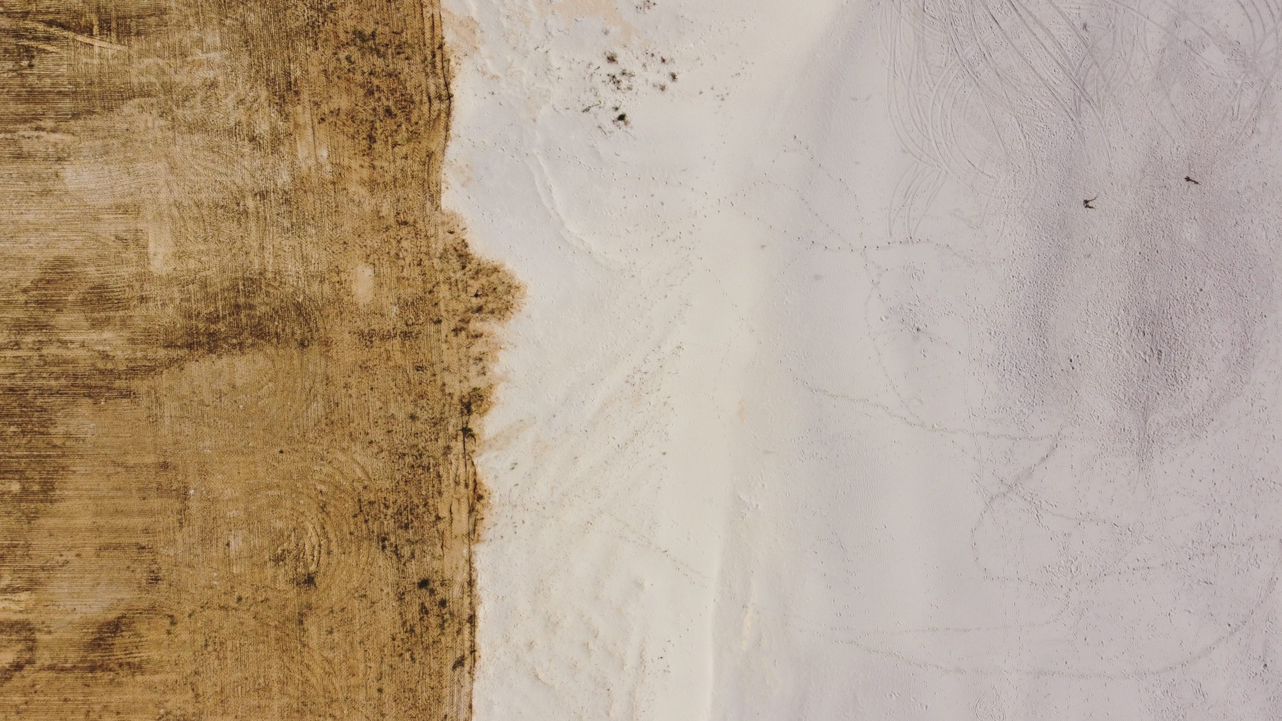 ukran-eLnxVG7Ozxo-unsplash