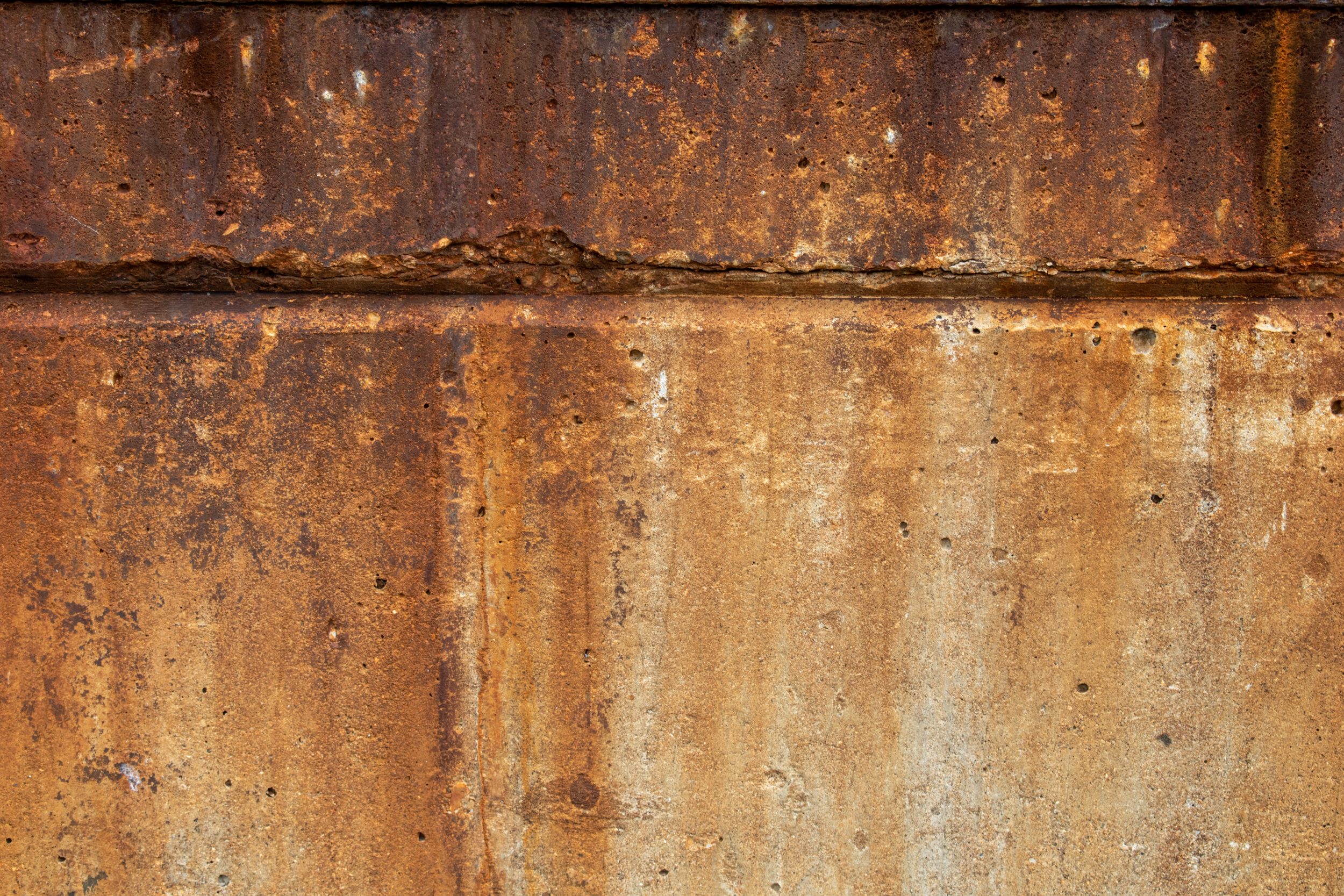 jarrod-erbe-ebj_8pjNC5o-unsplash