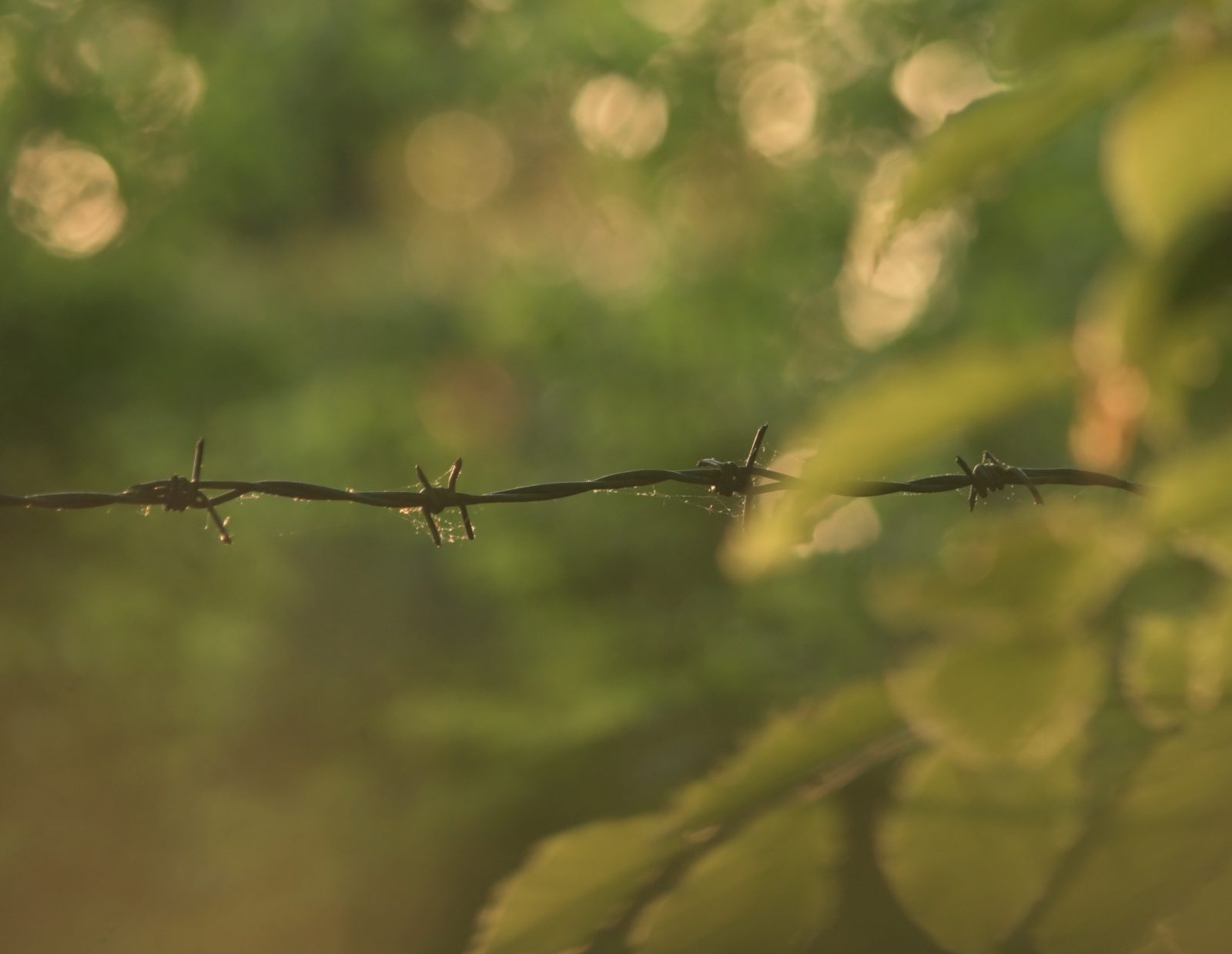 mirrorup-aUUdlPVpzyE-unsplash