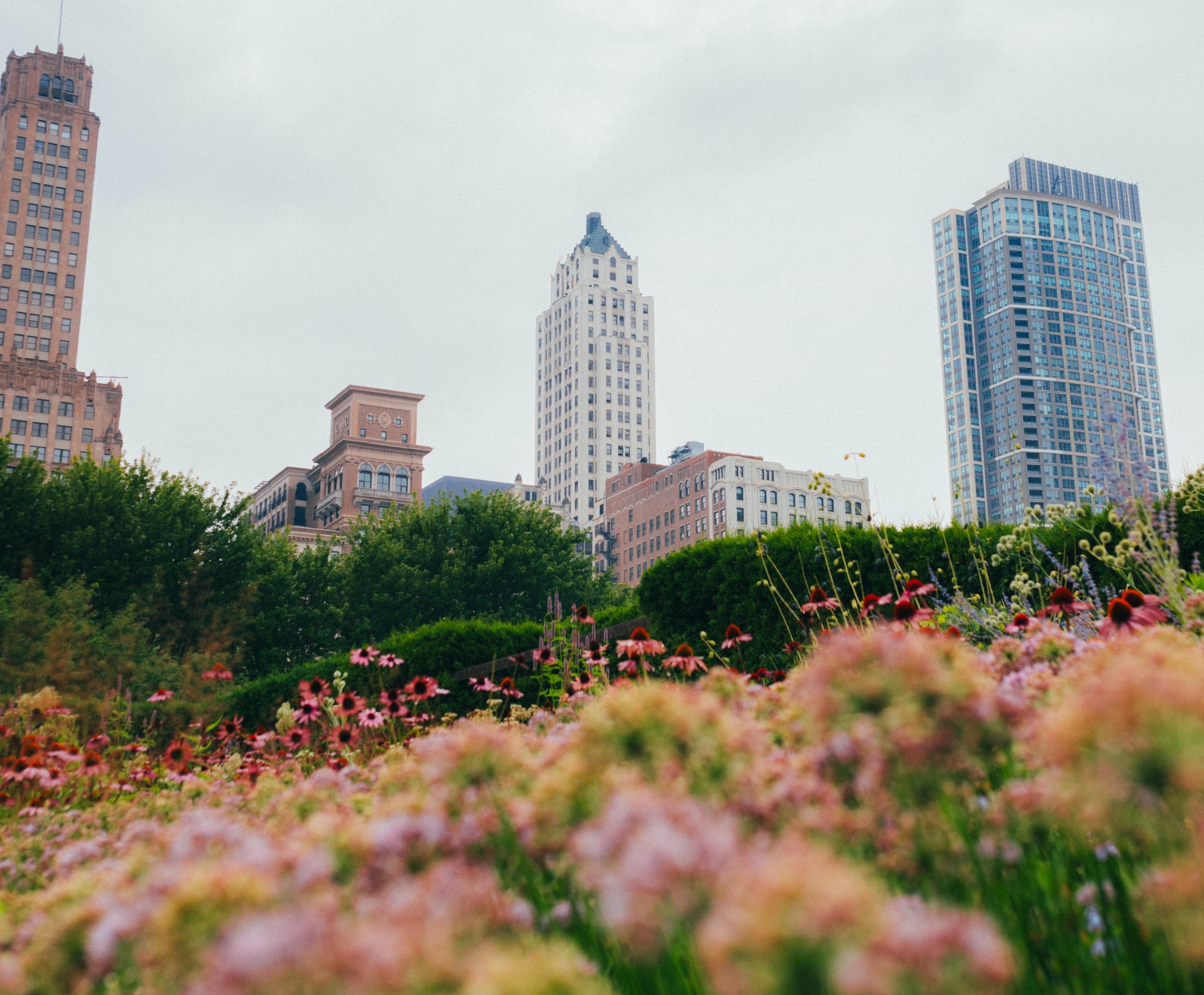 luke-witter-GbavGQdFz9U-unsplash