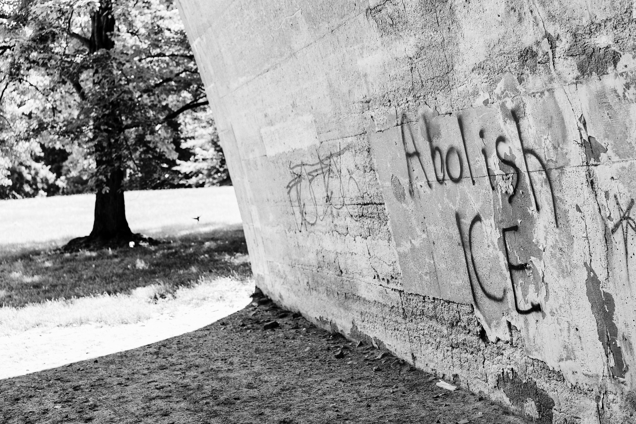 41282764520_bb87e5286d_k