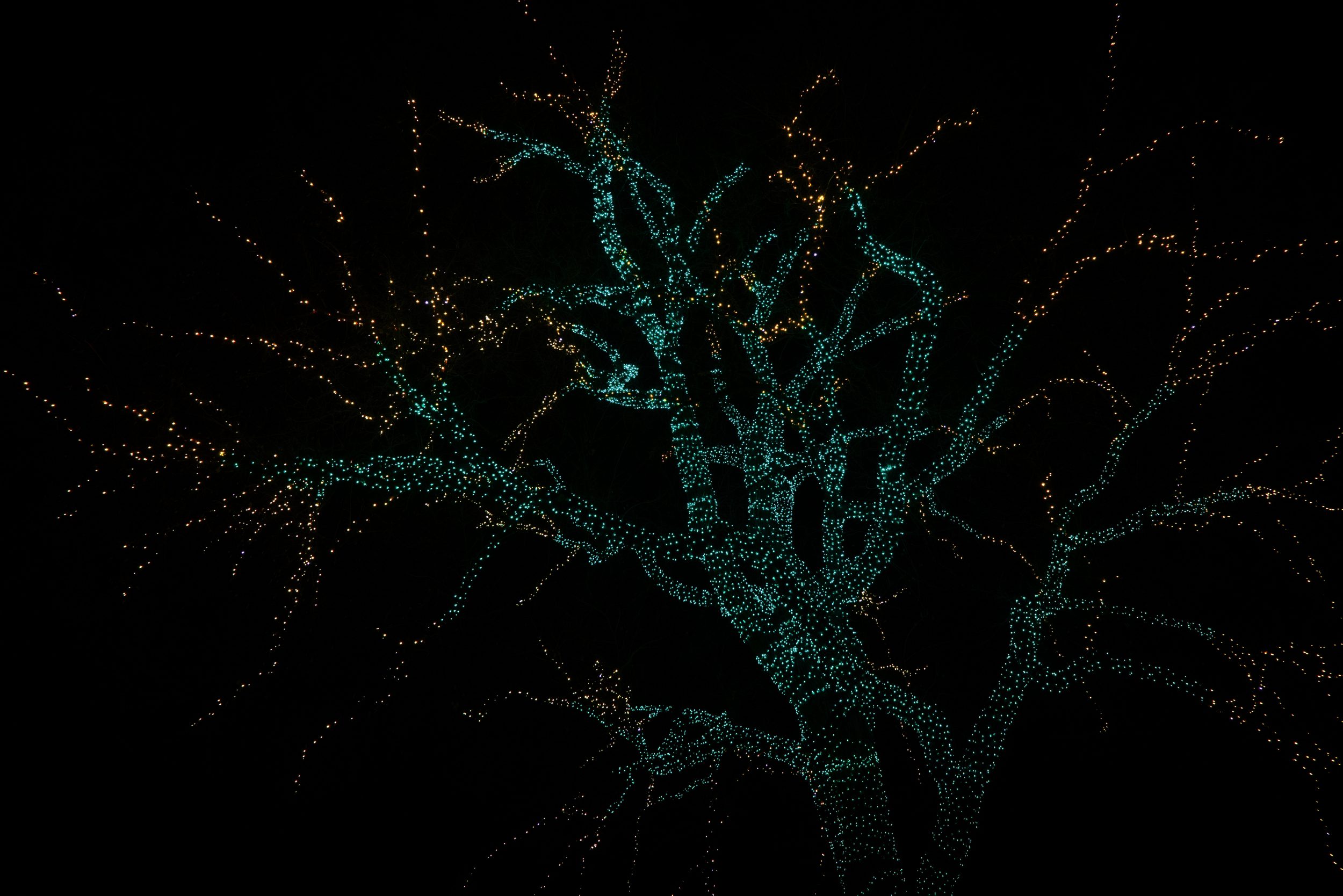 intricate-explorer-MW7gJ2_W5jk-unsplash