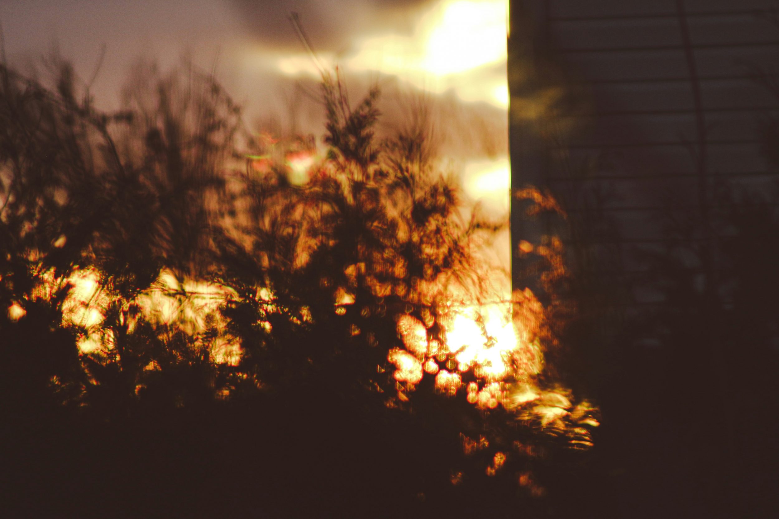 sigmund-zoaOrLLC82I-unsplash