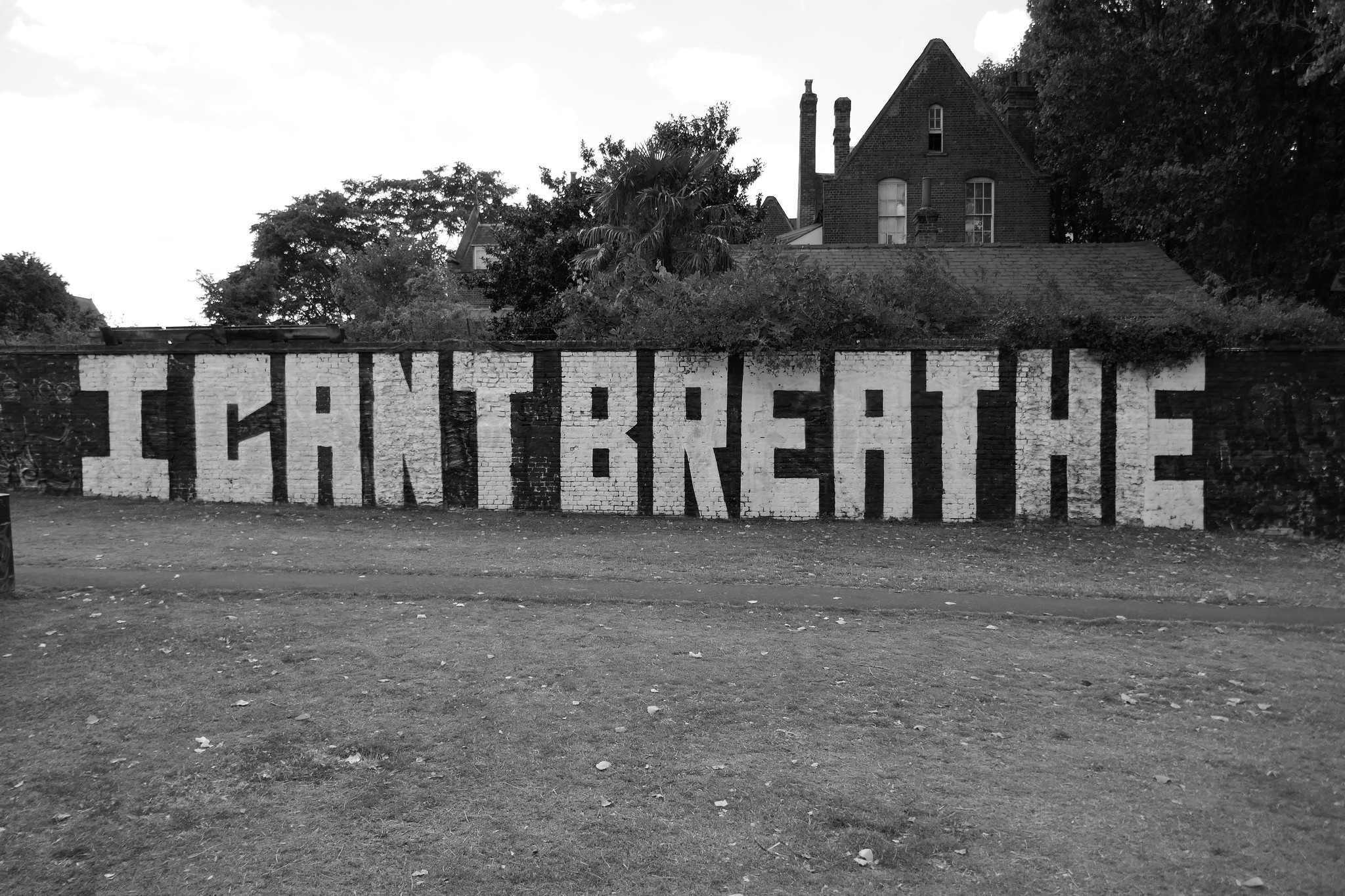 50177080537_5a83e913ea_k