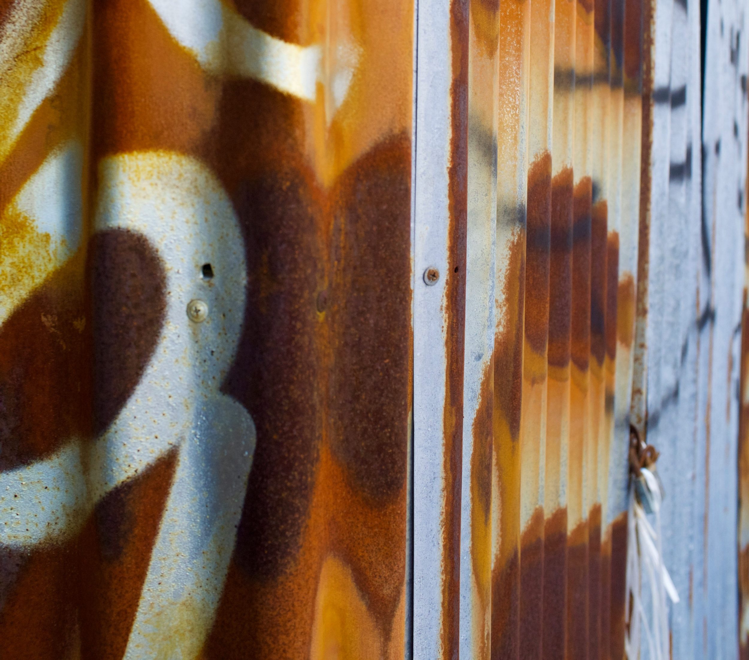 john-mukiibi-elijah-5S6uR-S50Yw-unsplash