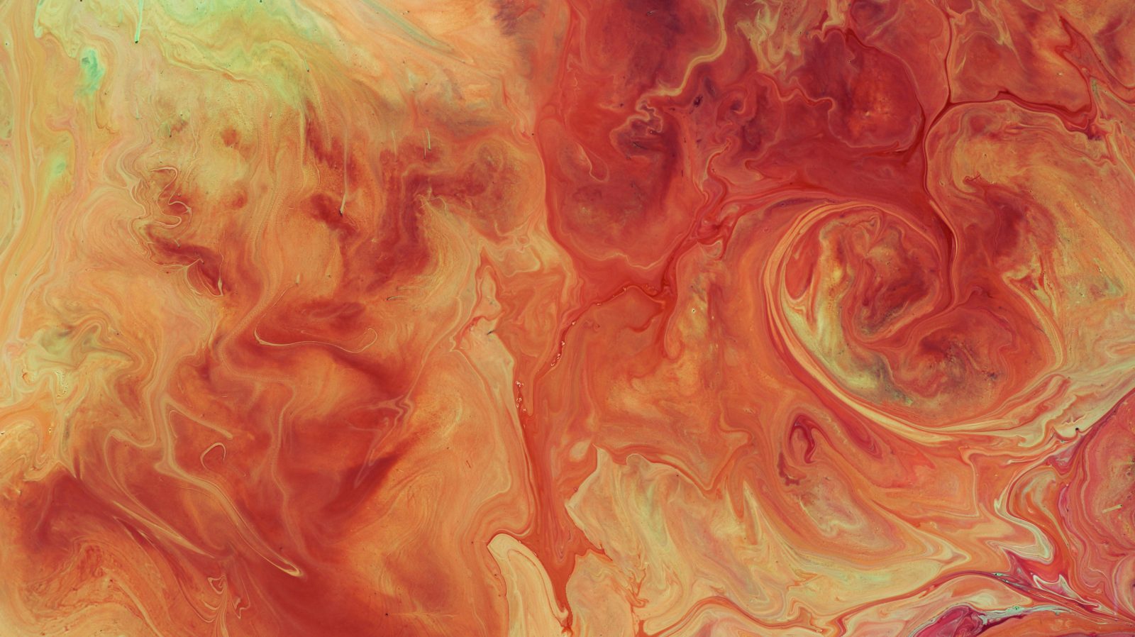 susan-wilkinson-m6pr9Fq_gcs-unsplash