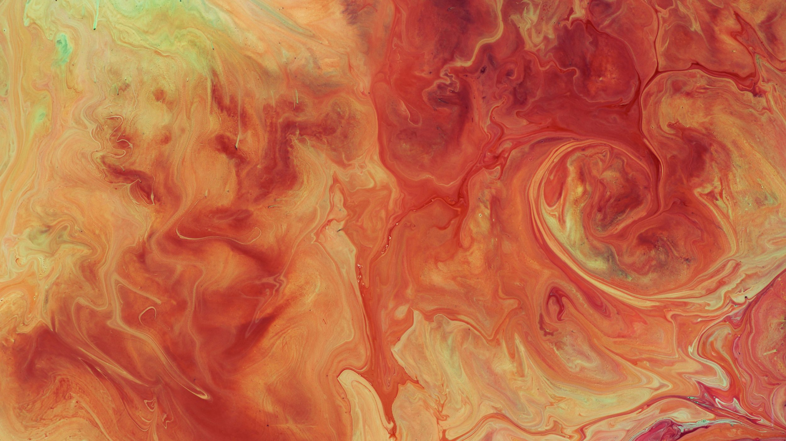 susan-wilkinson-m6pr9Fq_gcs-unsplash