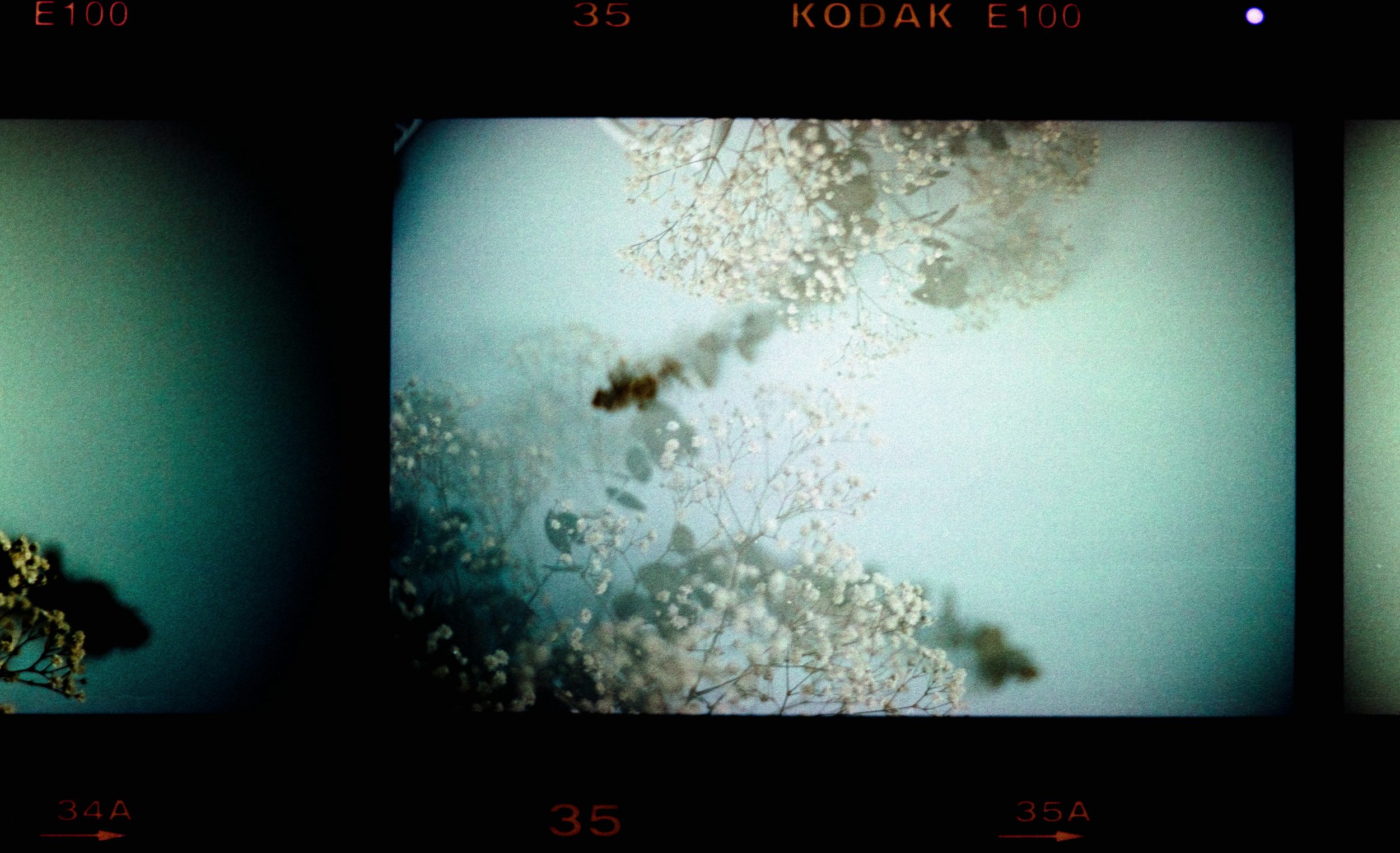 annie-spratt-bf4Ocun5JnM-unsplash