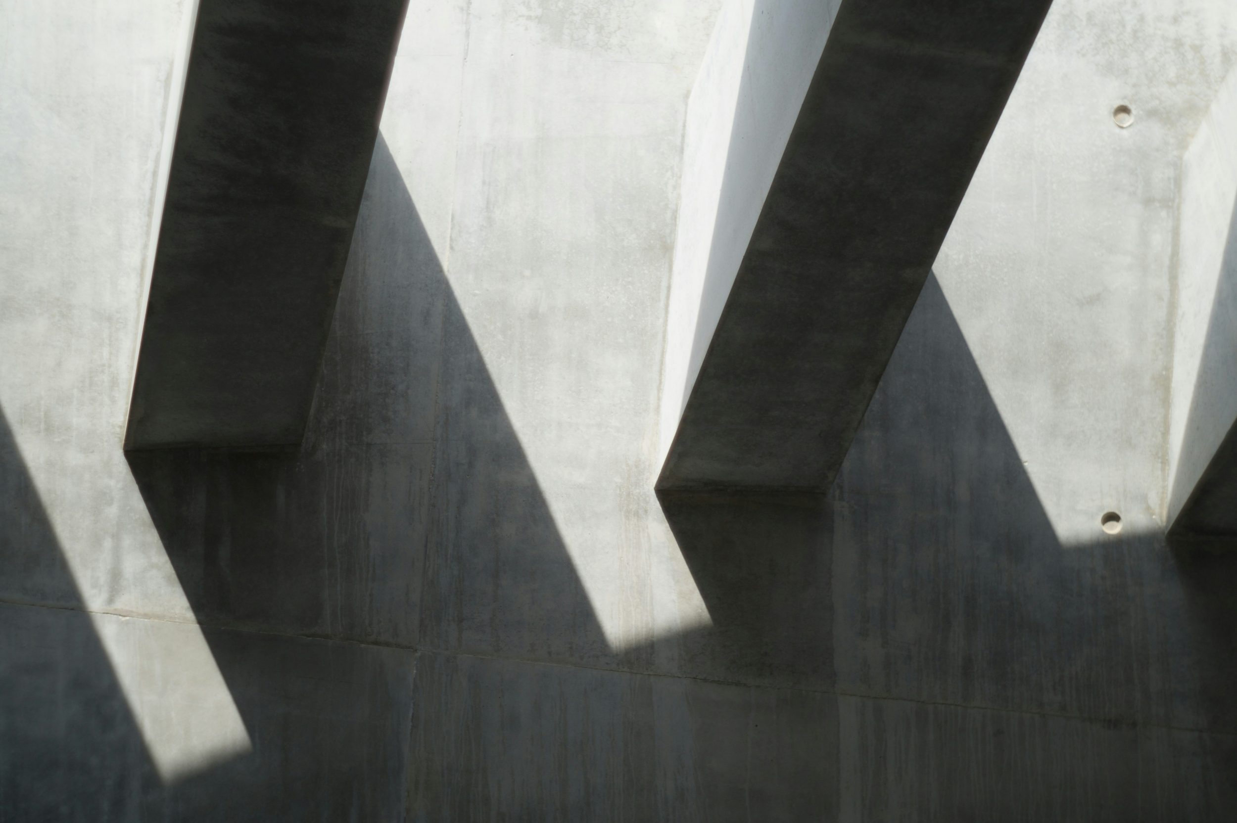 anton-lammert-oMCC7gKDBYE-unsplash
