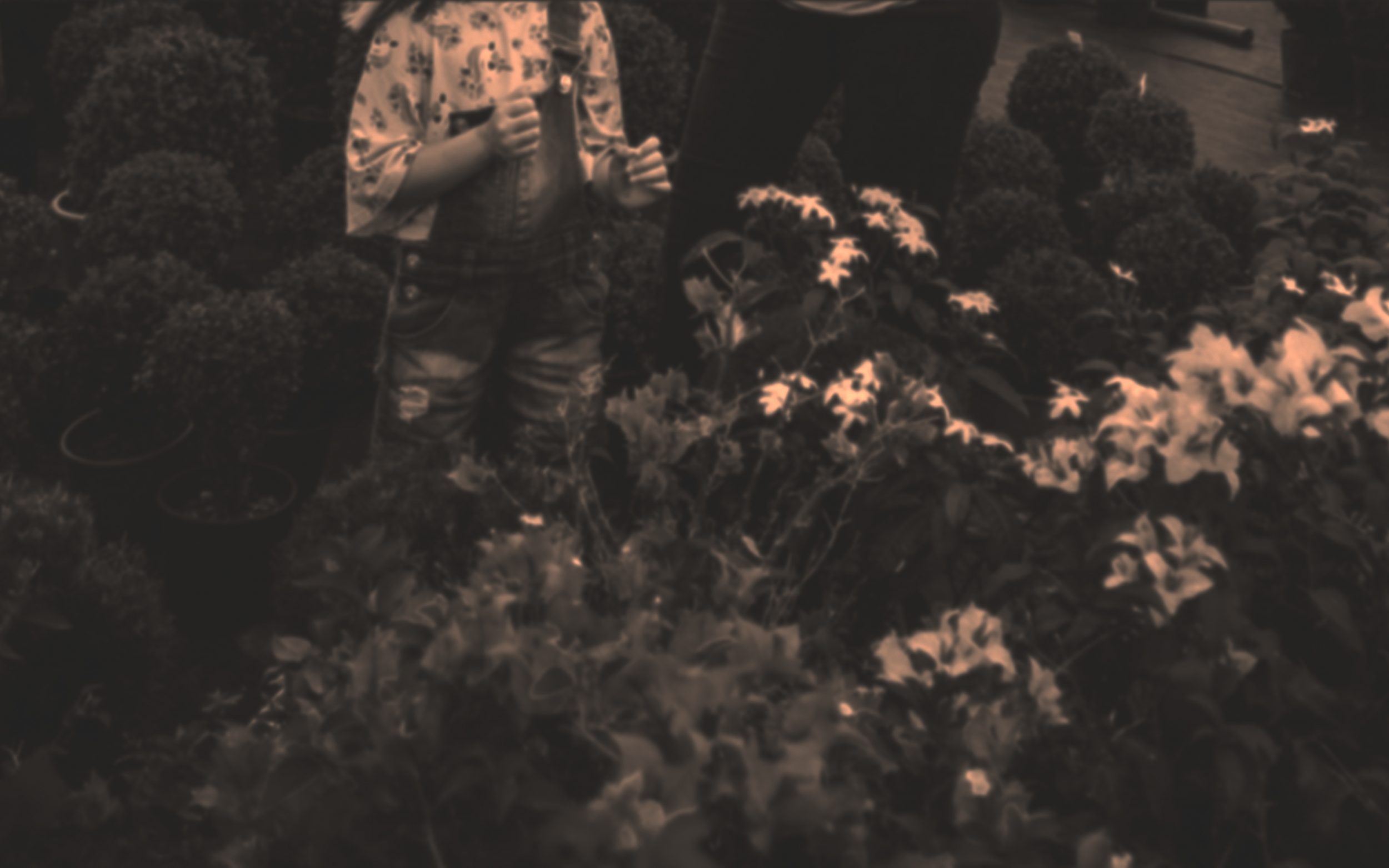 kids
