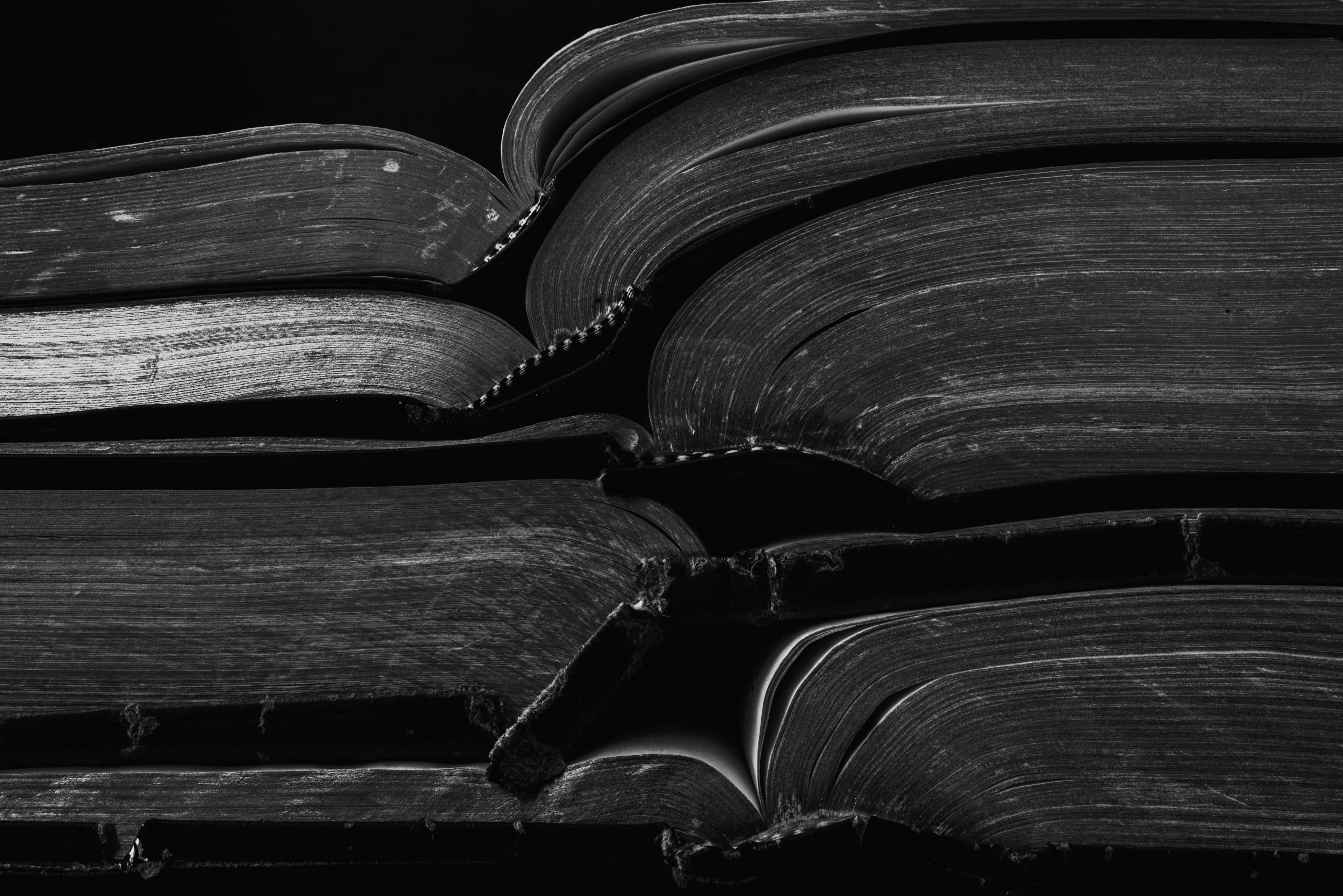 heather-newsom-3l49KQUZc20-unsplash