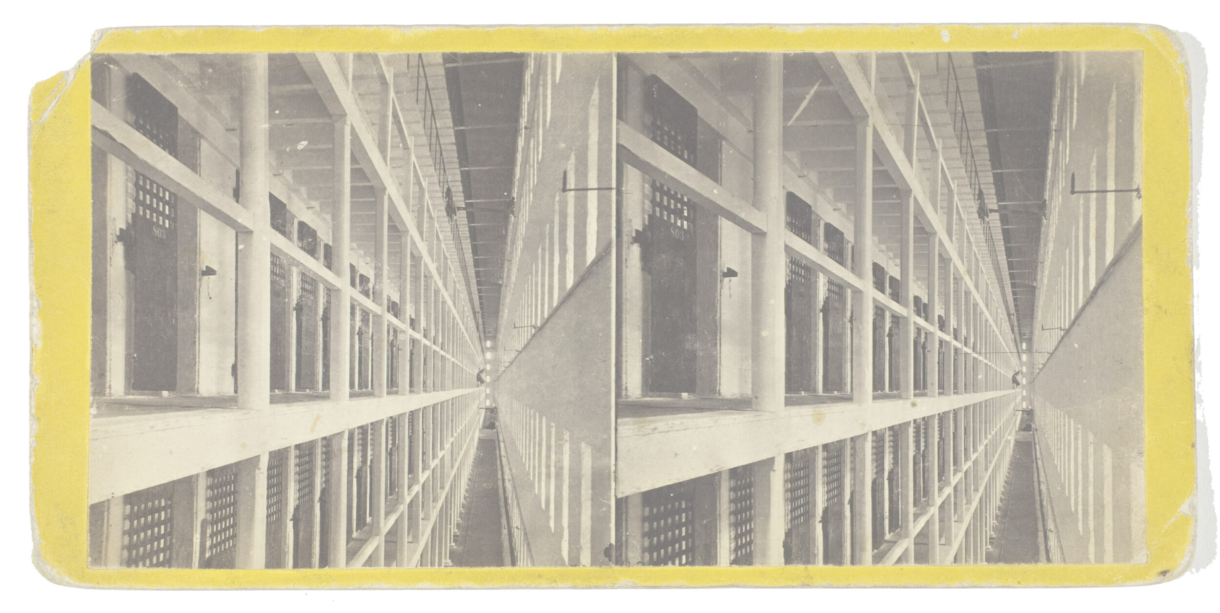 Shanahan Crespo header 1