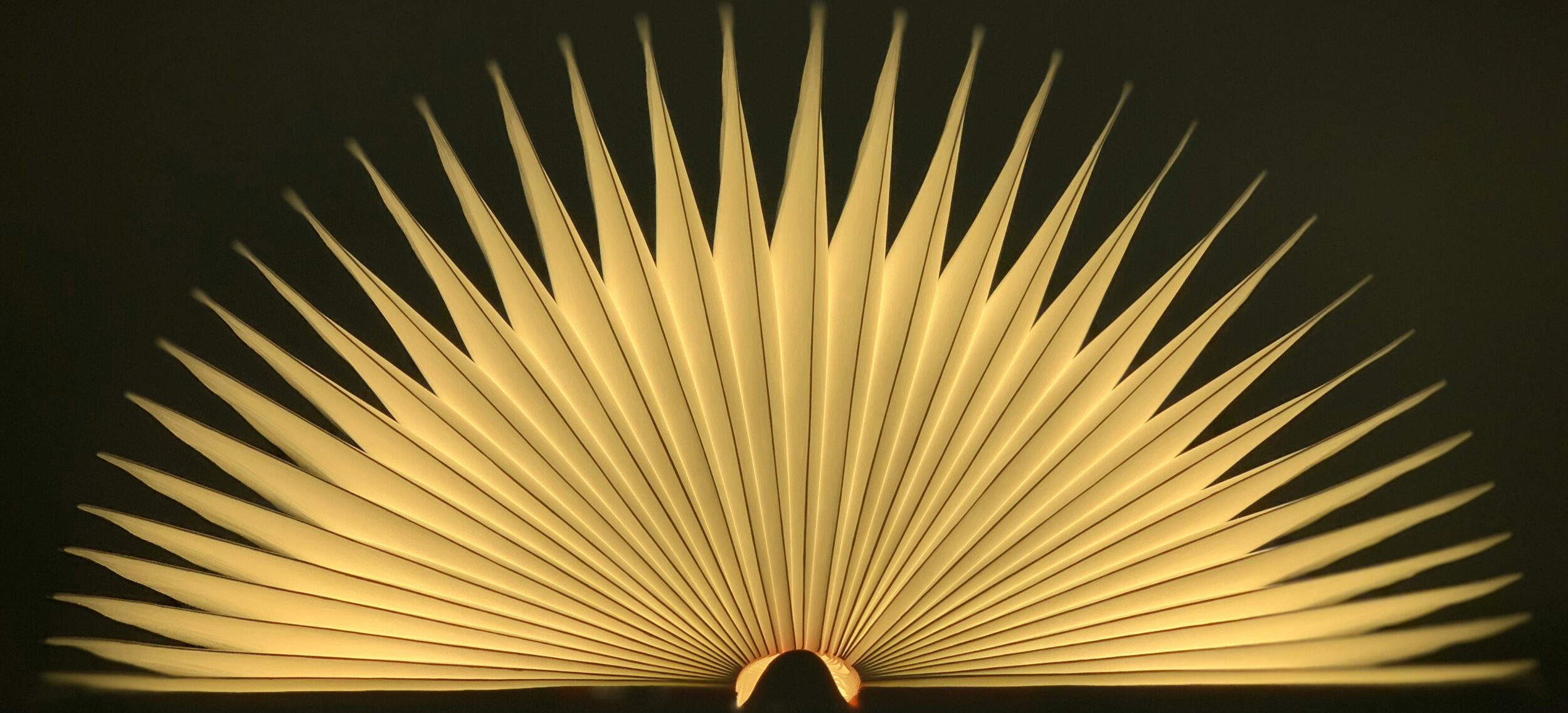 Year in Books 2025_header 3